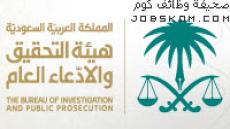 وظائف هيئة الرقابة والتحقيق 1444 على بند الاجور